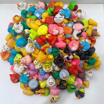 Assorted Bulk Cruising Rubber Ducks